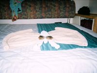 photos 2000-200901238